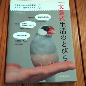 文鳥式生活のとびら 入手方法から生活環境、グッズ、遊ばせ方まで。