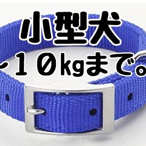 ワンコイン送料無料!小型犬用Sサイズ10kgまで●シンプル首輪カラー 青