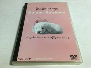 ◇ベイビードッグ ゴールデンレトリーバー DVD 国内正規品 ゴールデンレトリバー baby dogs Golden Retriever 即決
