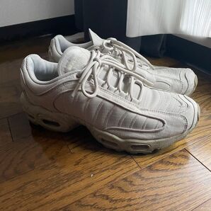 nike airmax plus サンドカラー