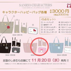 しまむら サンリオ キャラクター ハッピー バッグ マイメロディ 4点セット