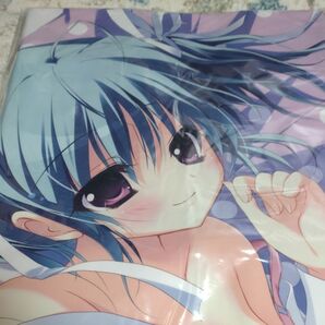 〇H70/正規品 未開封品/和泉つばす/瓜生桜乃 抱き枕カバー/ましろ色シンフォニー/翡翠亭 A&J/ぱれっと C79コミケ79