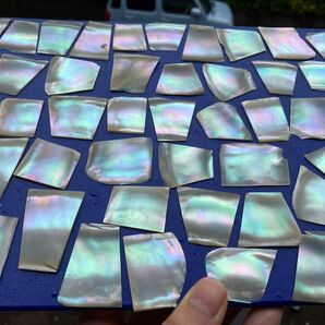 夜光貝 スライス 10枚セット 螺鈿細工 ハンドメイドなどの材料 ルアー ボタン作り