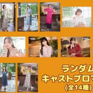 LoveLive!Days 声優キャストブロマイド 14種セット