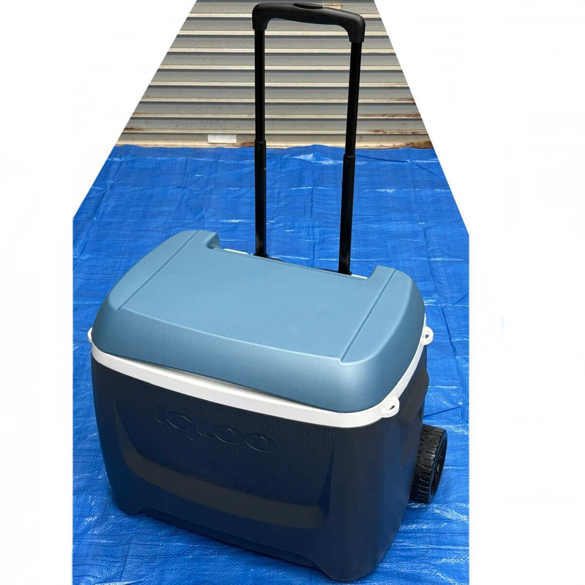 Yahoo!オークション -「igloo クーラーボックス」(50L Yahoo!オークション -「igloo クーラーボックス」(50L