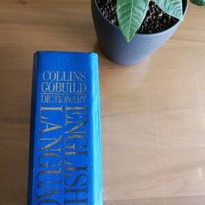 Collins Cobuild Dictionary 英-英 辞典