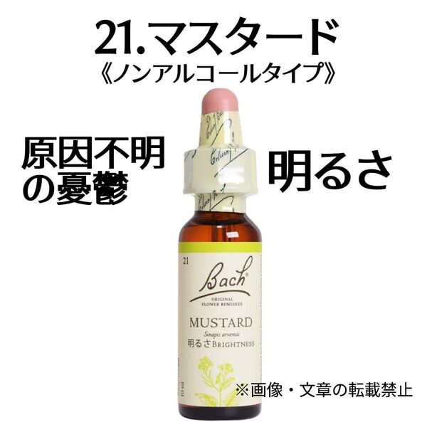 21.マスタード(10ml)ノンアルコールフラワーエッセンス グリセリンベースフラワーエッセンス NelsonBach社