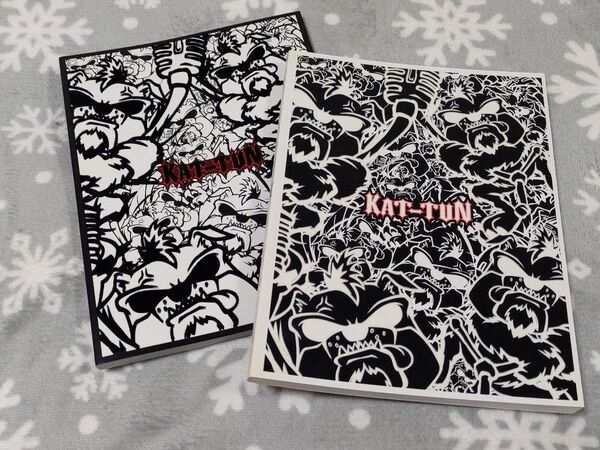 KAT-TUN II You / パンフレット 2冊セット