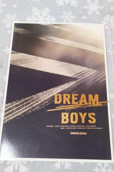 DREAM BOYS 09 パンフレット