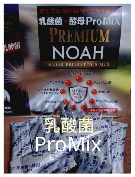 乳酸菌+酵母ProMIXプレミアムNOAH プレミアムノア UP 10包