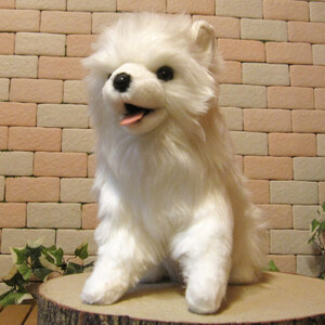  real . dog. soft toy samo Ed dog interior also optimum dog. ornament dog objet d'art ... fgyua....