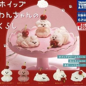 ホイップわんちゃんのくらし 4つ
