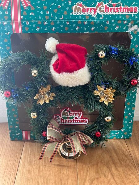 ディズニーランド ミッキー クリスマス リース 点灯 イルミネーション 箱付き