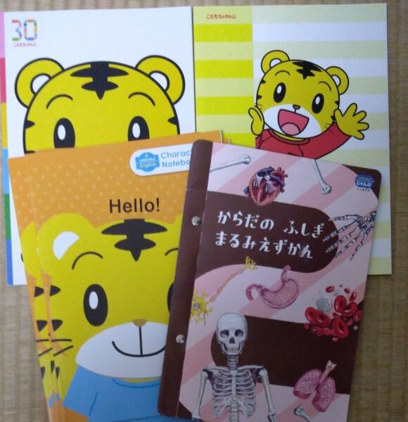 しまじろうノート (オマケ)からだのふしぎまるみえずかん(中古) じゃんぷ こどもちゃれんじ しまじろう