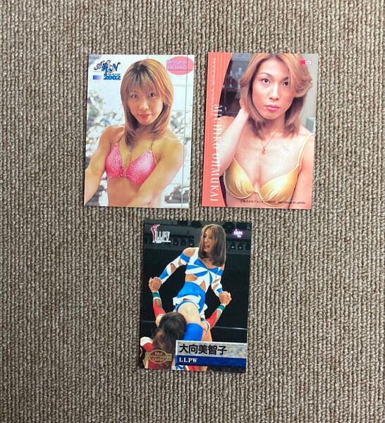 女子プロレスカード 大向美智子 3枚セット