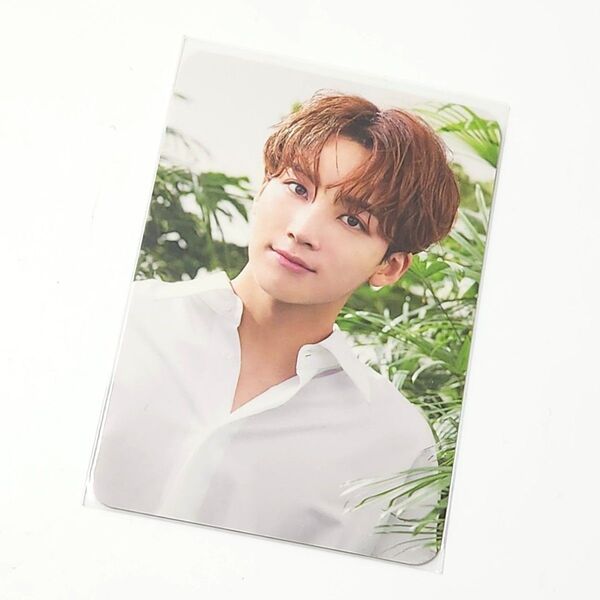 SEVENTEEN the saem ジョンハン トレカ セブチ ザセム フォトカード