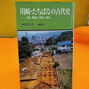 ねこまんま堂★まとめお得！ 川崎橘の古代史