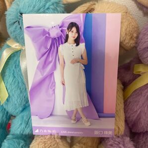 乃木坂46 阪口珠美 生写真 ヒキ 12thAnniversary