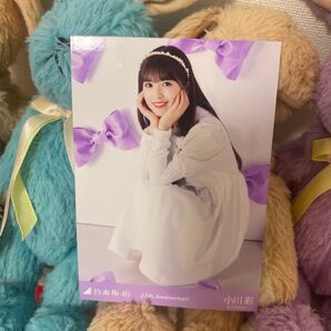 乃木坂46 小川彩 生写真 座り 12thAnniversary