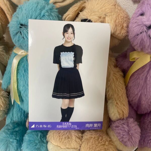 乃木坂46 向井葉月 生写真 ヒキ 真夏の全国ツアー2024 ライブTシャツ