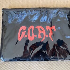 SHINee KEY G.O.A.T. KEYLAND ポーチ