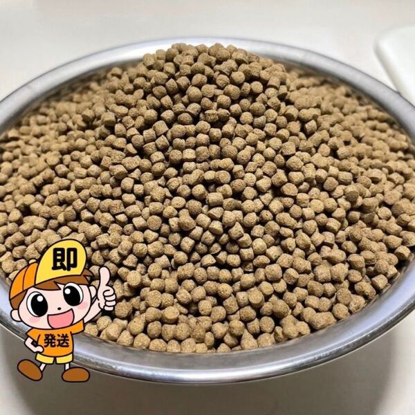 ひらめ浮餌『NEW浮餌EPゴールドF-3』(3.5㎜)4kg 錦鯉に最適 タンパク質50% オキアミミール配合 小分け真空パック