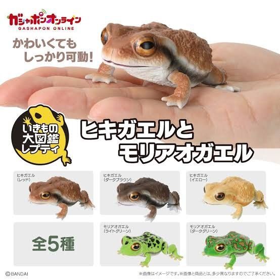 いきもの大図鑑レプティ ヒキガエルとモリアオガエル 全5種セット カプセルトイ ガチャ フィギュア
