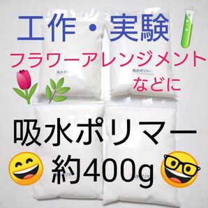 吸水ポリマー 約400g 工作 実験 フラワーアレンジメント などに