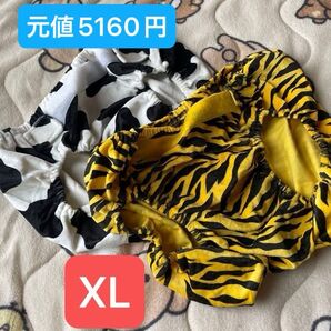 犬用 マナーパンツ 大型犬用 コスプレ 二着セット 前閉じ サニタリーパンツ