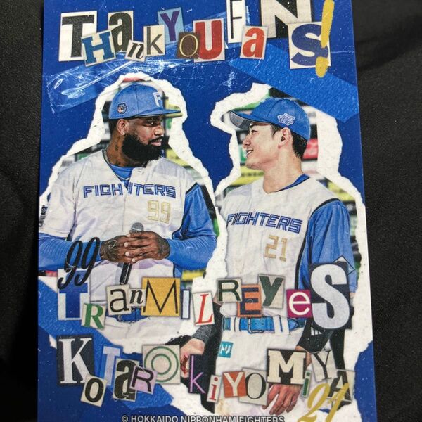 2024北海道日本ハムファイターズ トレーディングカードウォークトレカ コンプリート ファンフェス限定