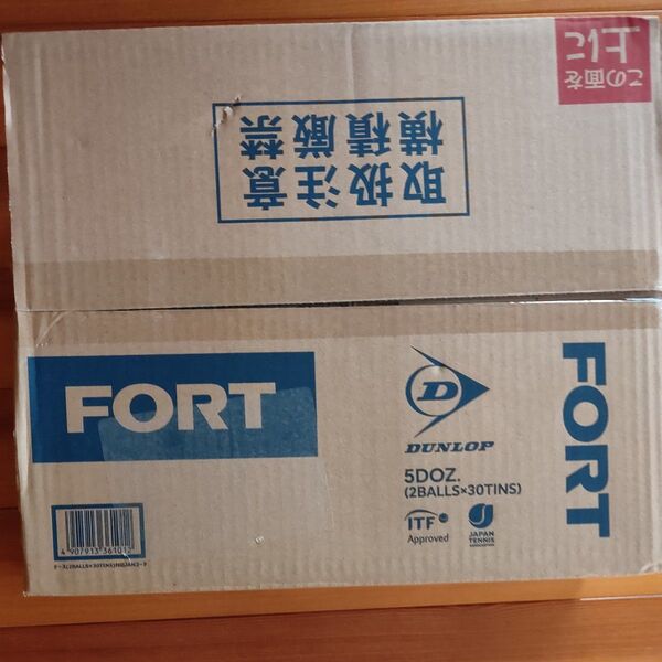ダンロップフォート新パッケージ (2個入 30缶) DFEYL2CS60
