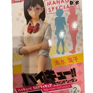 ハイキュー DXFフィギュア マネージャースペシャル 清水潔子