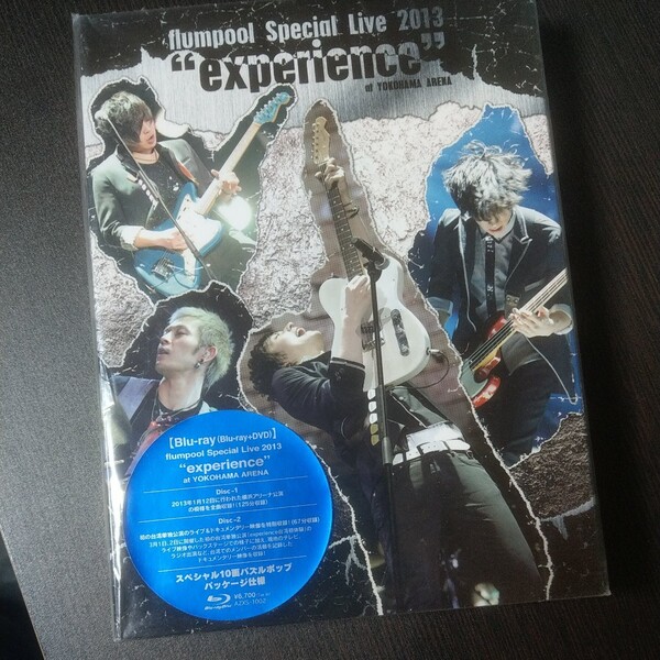 flumpool Special Live 2013 experience