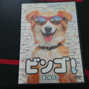 映画DVD ビンゴ!