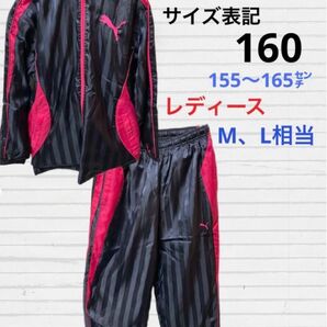 PUMA 美品 ジャージセットアップ 160 レディースM.L