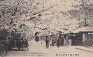 絵葉書　周防岩国吉香神社公園　櫻花人物・着物婦人・松月亭茶屋？　山口県神道絵はがき