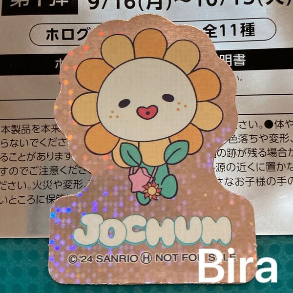 JOCHUM ジェオチャム Bira 第1弾 ステッカー マツキヨココカラ