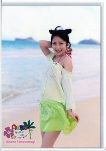 ♪AKB48 SKE★高柳明音 海外旅行日記 公式生写真～ハワイはハワイ～ AKB48 D