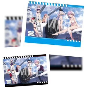 SSSS.GRIDMAN SSSS.DYNAZENON グッズ 水着 めくれるタペストリー 新条アカネ 宝多六花 南夢芽 ムジナ