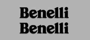 送料無料 海外 ◇ ベネリ BENELLI Black 200mm 2枚セット カッティング ステッカー シール