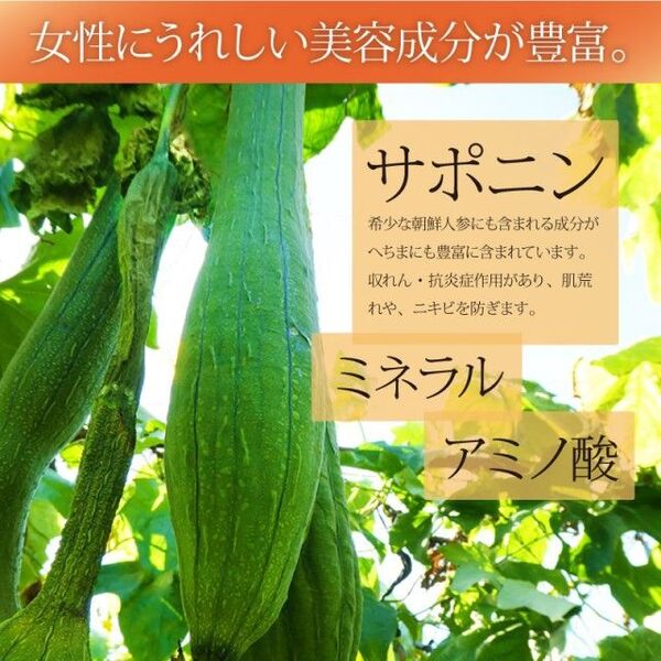 採りたて天然へちま化粧水1リットル(1000ml×1本)無添加無農薬