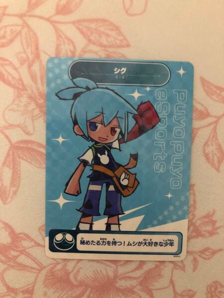 ぷよぷよキラキラトレカ シグ ぷよぷよブロック代表決定戦 予選プレイオフイベントでの限定品