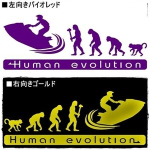 ★ Мясо более 1000 иен 0 ★ (15 см) Эволюция человечества
