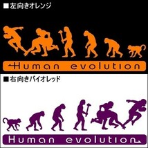 ★千円以上送料0★(15cm)人類の進化【アメフト編】アメリカンフットボール、タックル、アイシールド21好き、車のステッカーに最適(1)_画像3