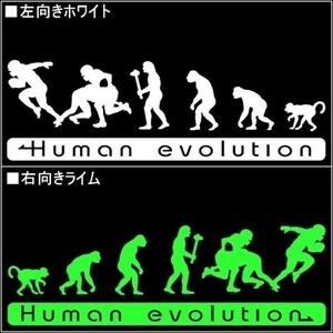 ★千円以上送料0★(20cm)人類の進化【アメフト編】アメリカンフットボール、タックル、アイシールド21好き、車のステッカーに最適(2)