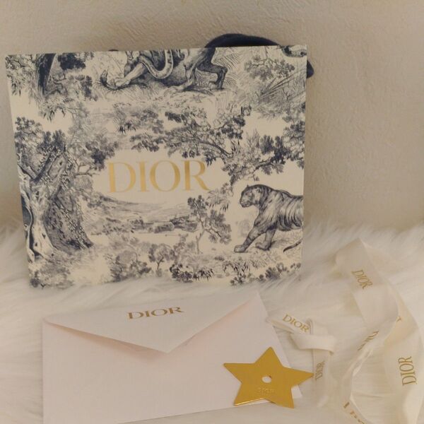 Dior トワルドジュイ 限定ショッパー 紙袋 メッセージカード