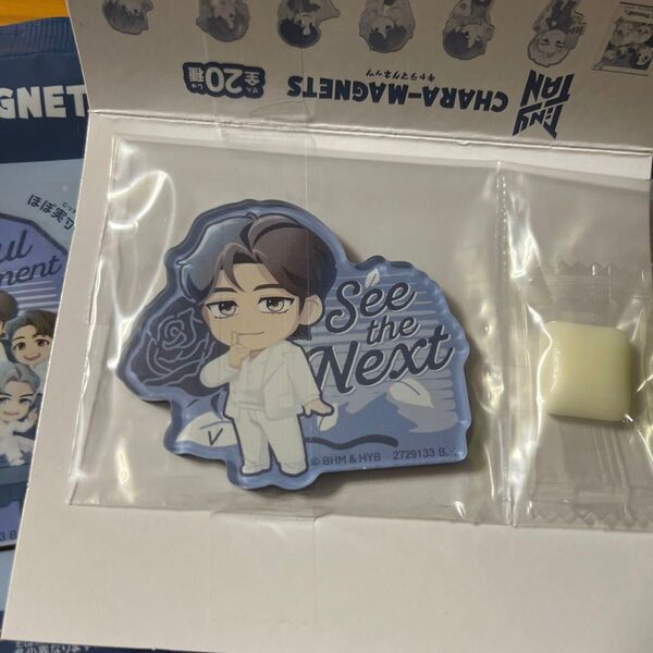 BTS TinyTAN キャラマグネッツ テテ V