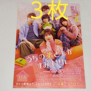 映画チラシ 3枚『うちの弟どもがすみません』畑芽育 佐久間龍斗 那須雄登 フライヤー