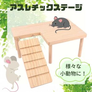 【ハムスター】安心・安全アスレチック 木製 遊び場 小動物 ステージ