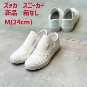 ZUCCaスニーカー ベルテッドスニーカー/スニーカー レディース